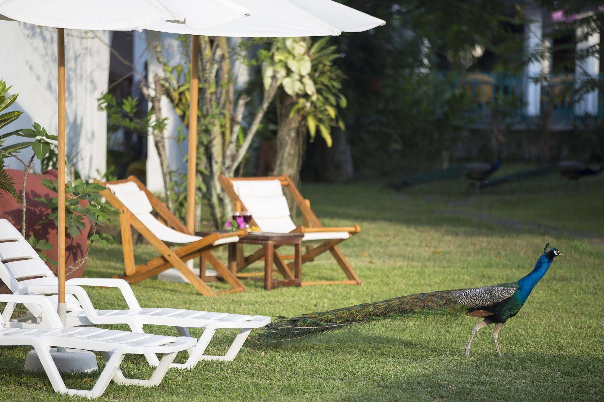 Hotel Suyox Tarapoto Exterior photo